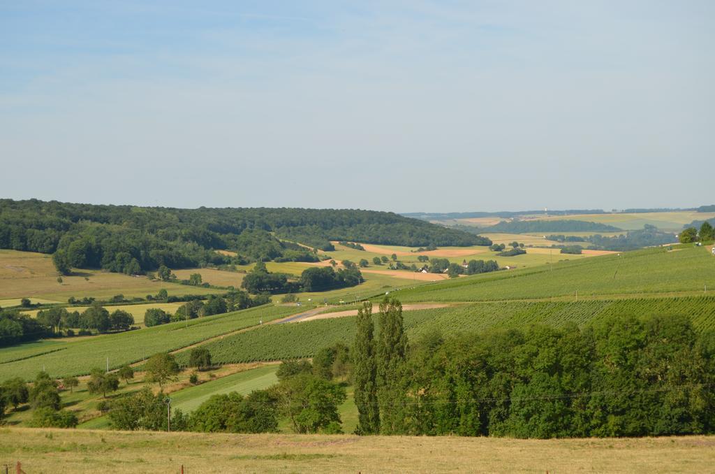 Chambres D'Hotes & Champagne Douard La Chapelle-Monthodon Exterior foto